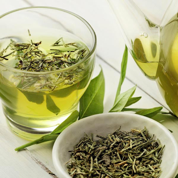 Jamaican DRY Cerasee leaves, TEA HERB, BITTER MELON