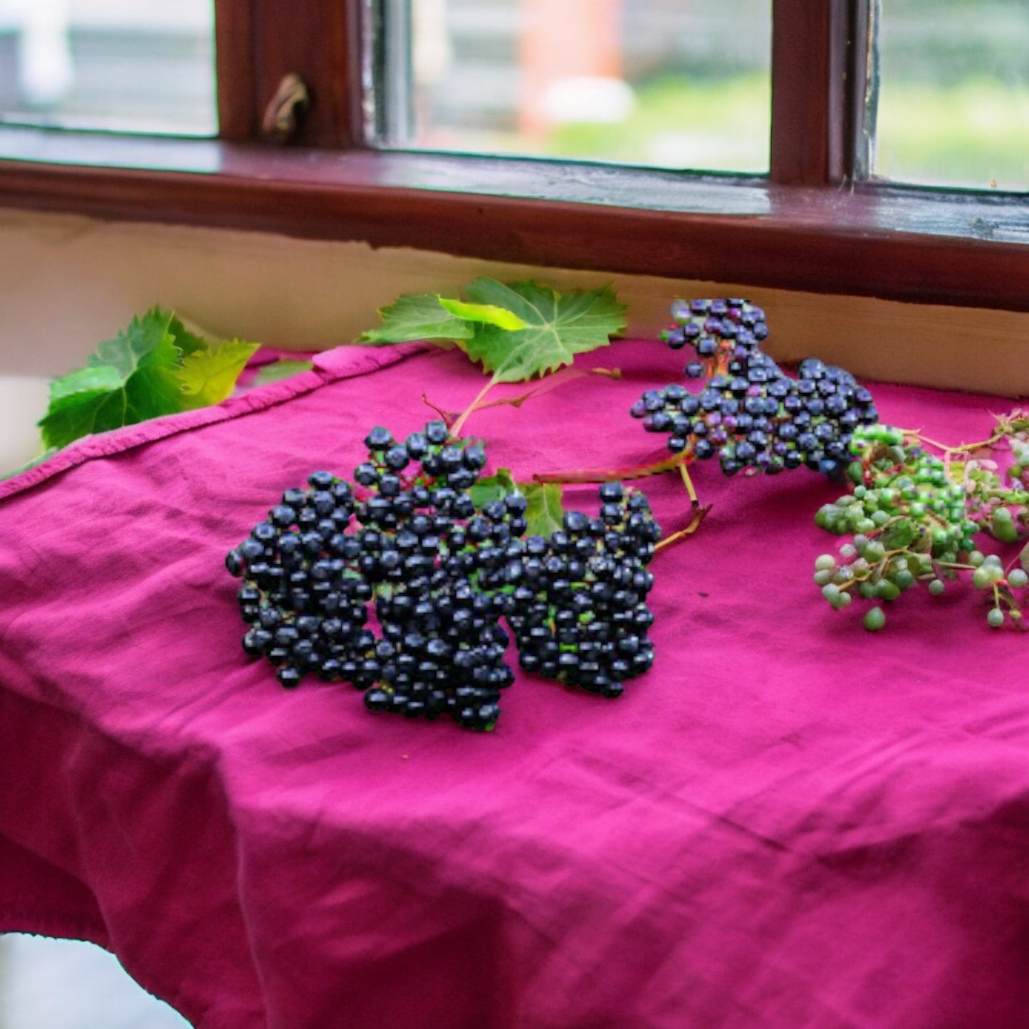 Elderberries whole (Dry)